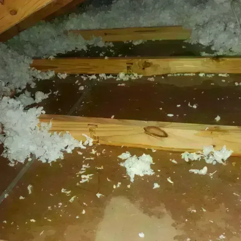 Attic Water Damage in East New York, NY