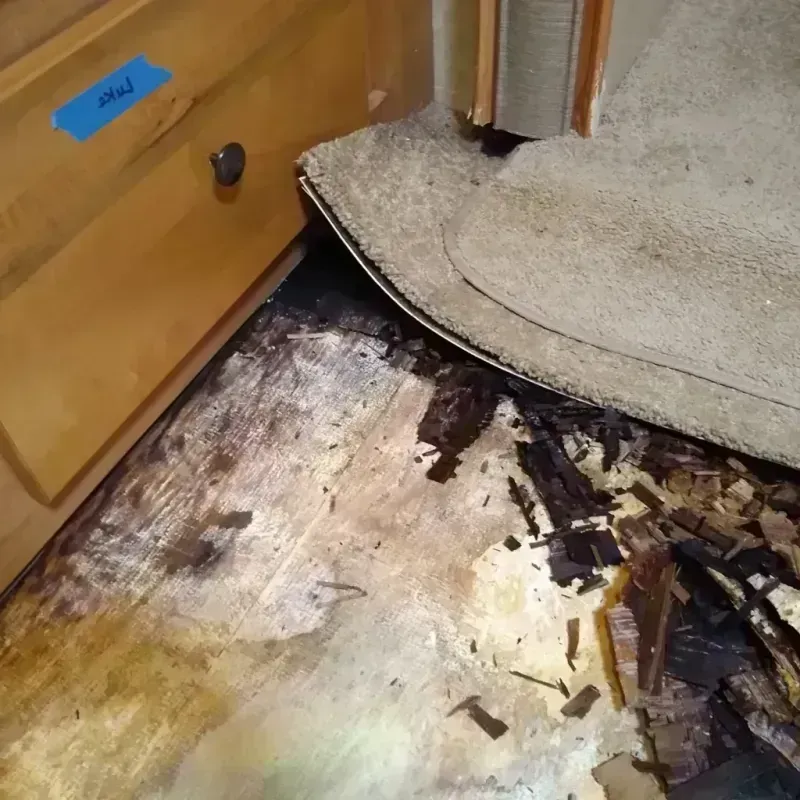 Wood Floor Water Damage in East New York, NY